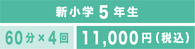 新小学5年生 60分×4回 11,000円